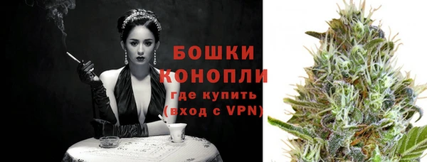 сатива Балахна